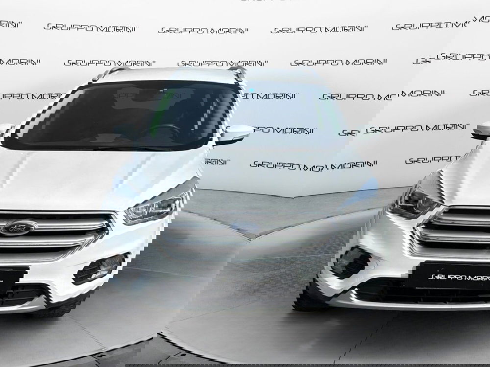 Ford Kuga usata a Bologna