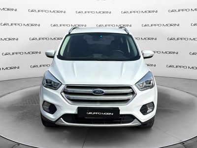 Ford Kuga 1.5 EcoBoost 120 CV S&amp;S 2WD Business del 2019 usata a San Lazzaro di Savena