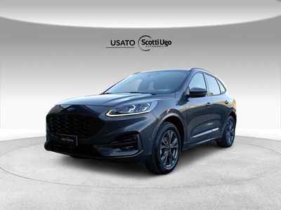 Ford Kuga 2.5 Plug In Hybrid 225 CV CVT 2WD ST-Line X del 2023 usata a Castelfiorentino