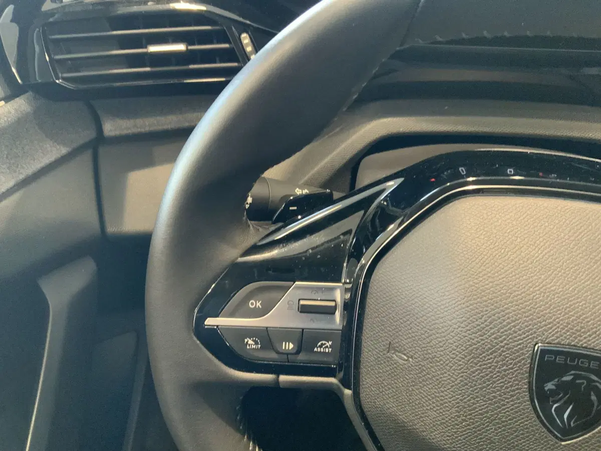 Peugeot 308 usata a Vercelli (12)