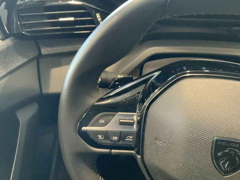 Peugeot 308 usata a Vercelli (12)