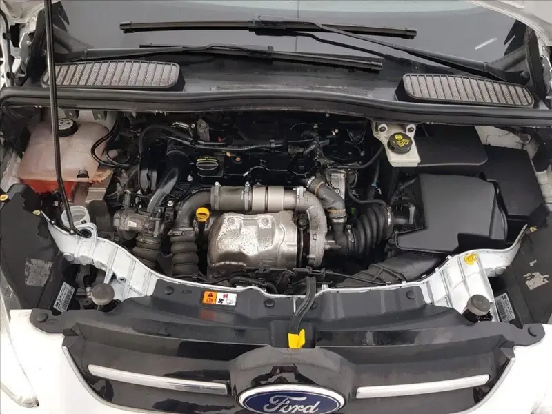 Ford C-Max usata a Lucca (17)