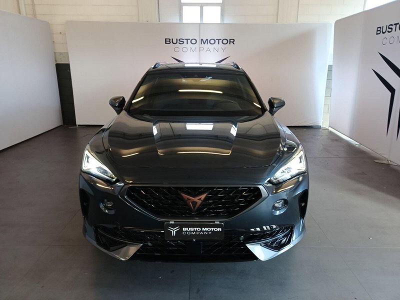 Cupra Formentor usata a Varese (2)