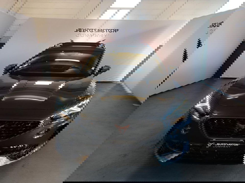 Cupra Formentor usata a Varese (2)