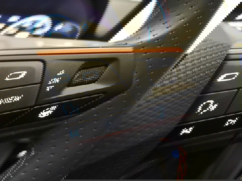 Cupra Formentor usata a Varese (16)