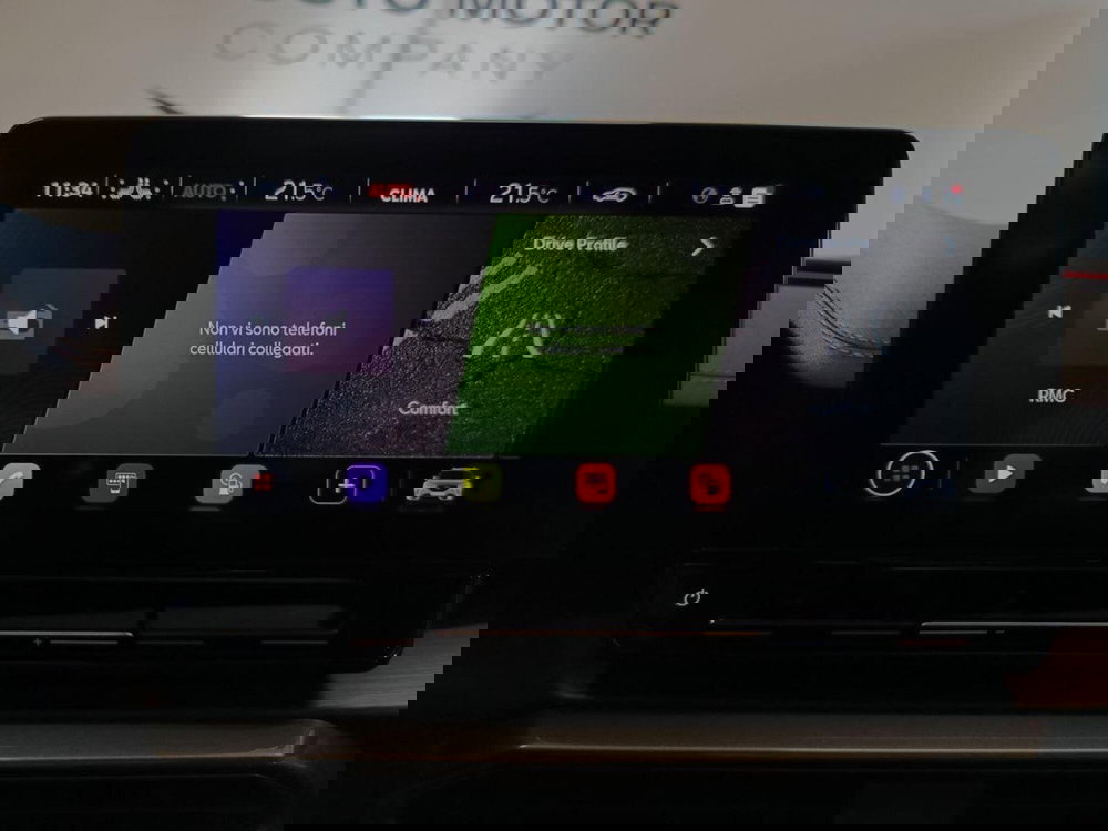 Cupra Formentor usata a Varese (13)