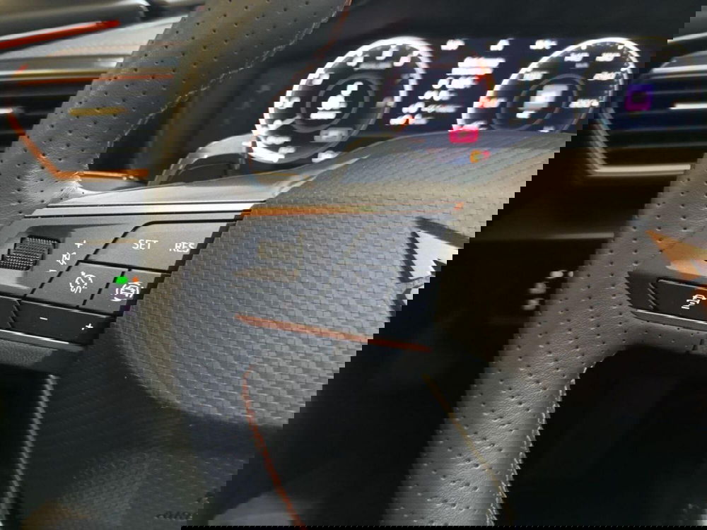 Cupra Formentor usata a Varese (18)