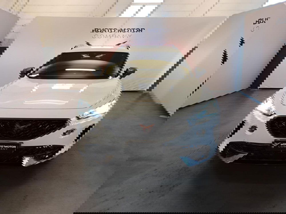 Cupra Formentor usata a Varese (2)