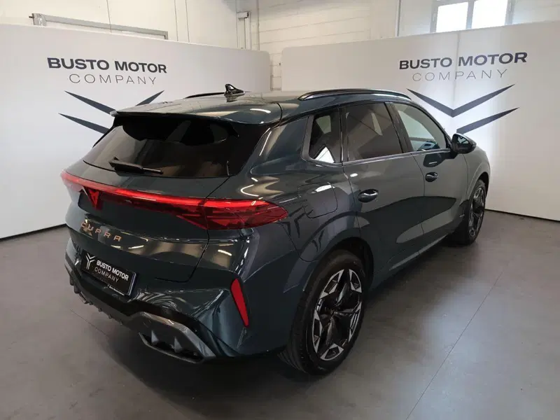 Cupra Terramar usata a Varese (6)