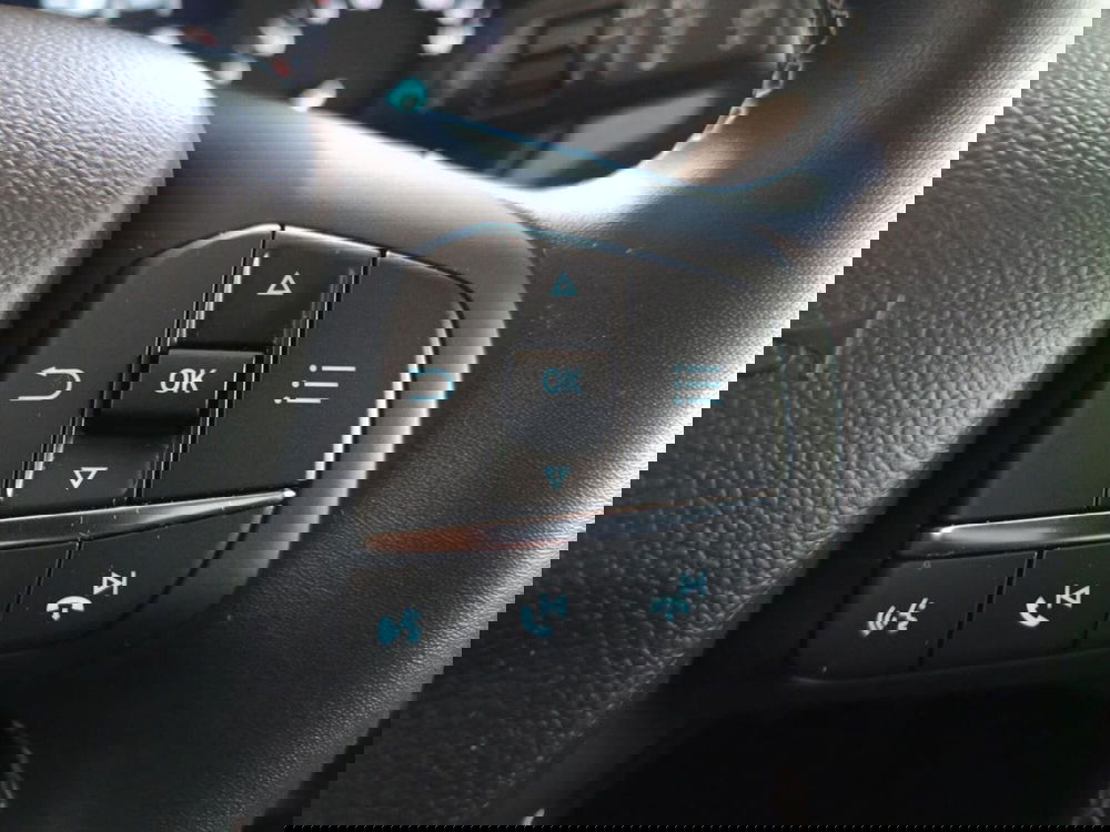 Ford Puma usata a Varese (16)