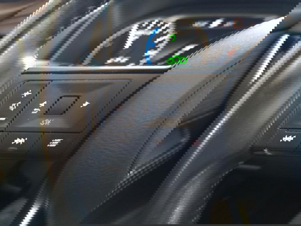 Nissan X-Trail usata a Varese (14)