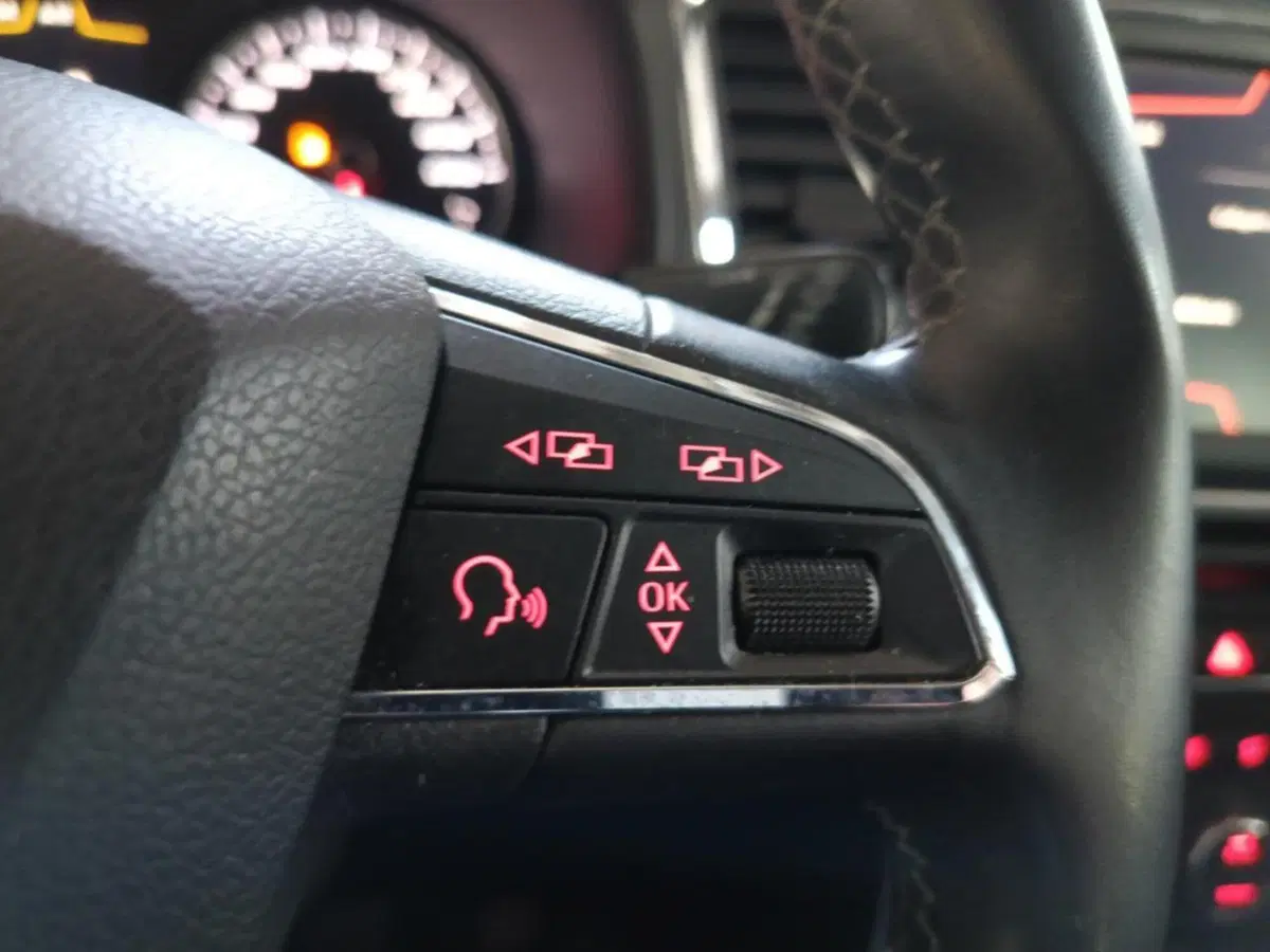 SEAT Ateca usata a Varese (18)