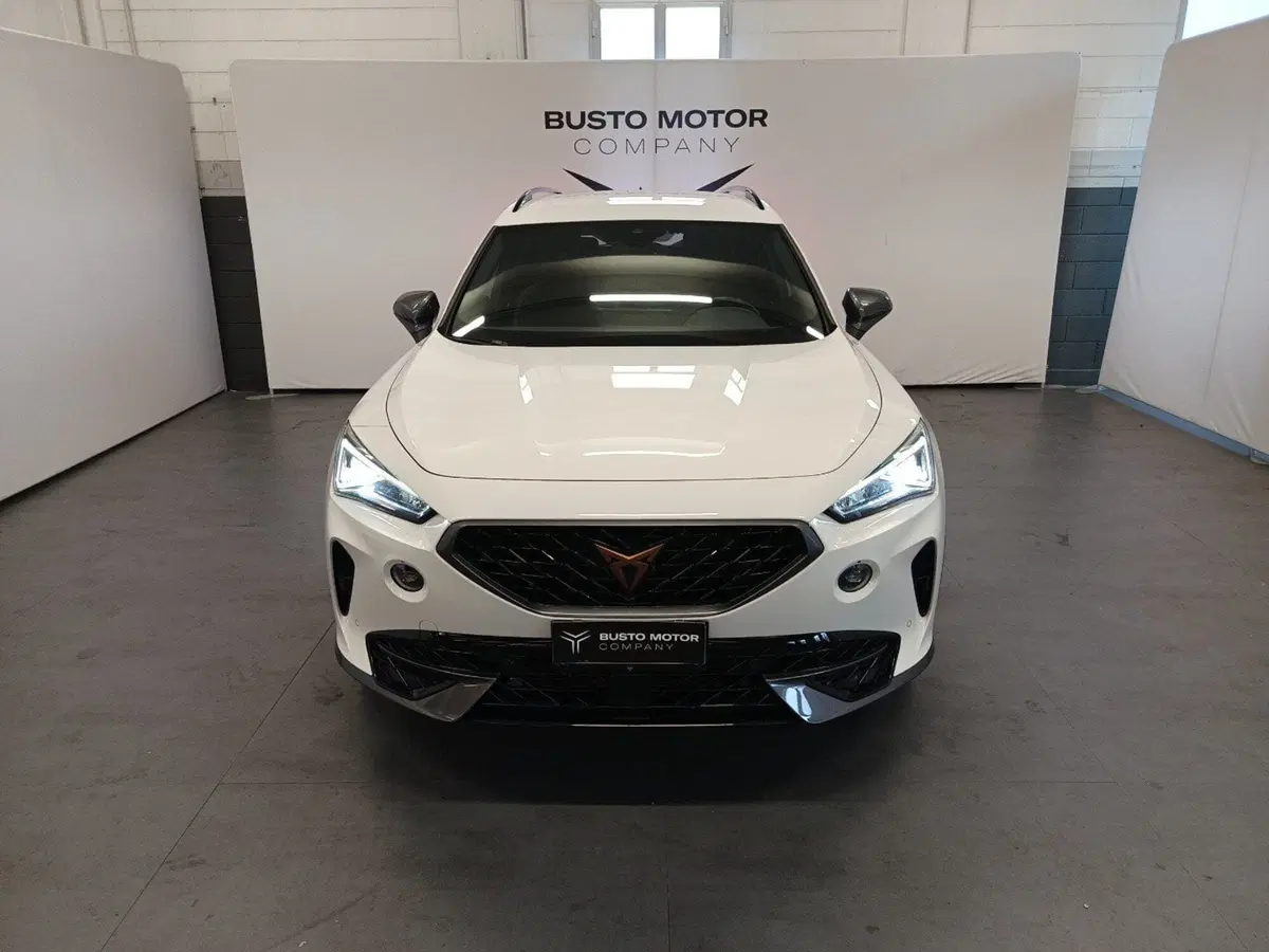 Cupra Formentor usata a Varese (2)