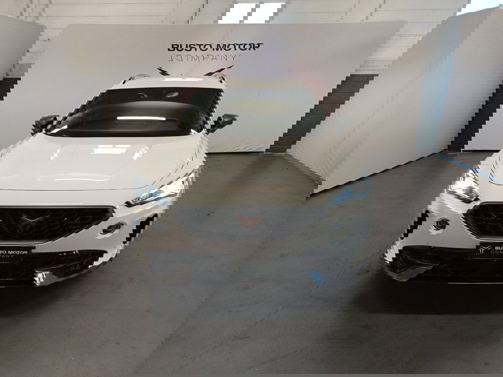 Cupra Formentor usata a Varese (2)