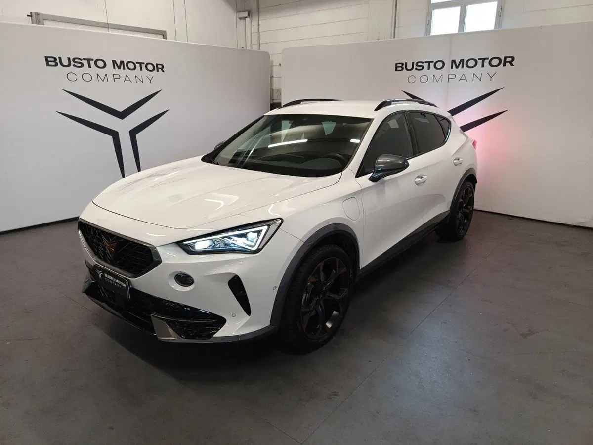 Cupra Formentor usata a Varese (3)