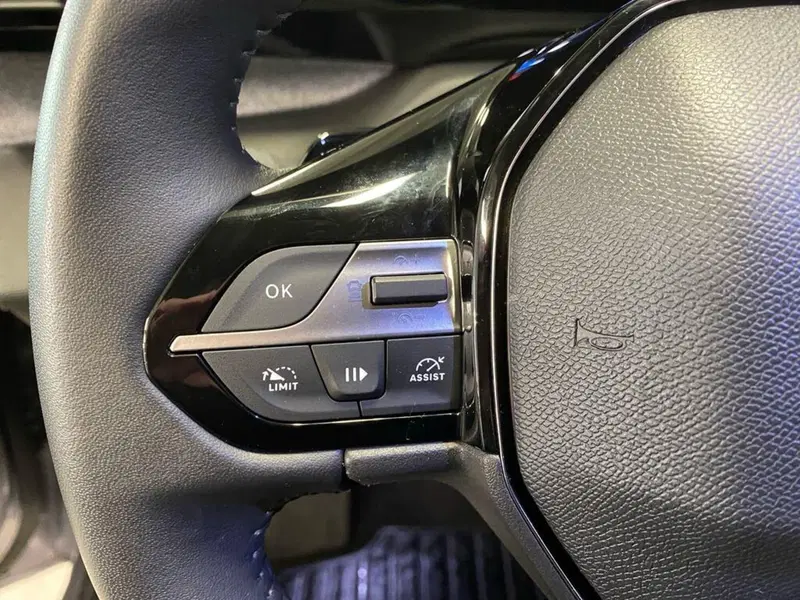 Peugeot 308 SW usata a Torino (12)