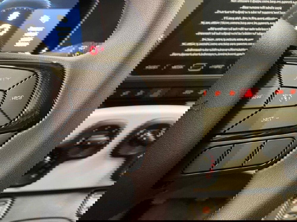 Fiat Pandina nuova a Torino (14)