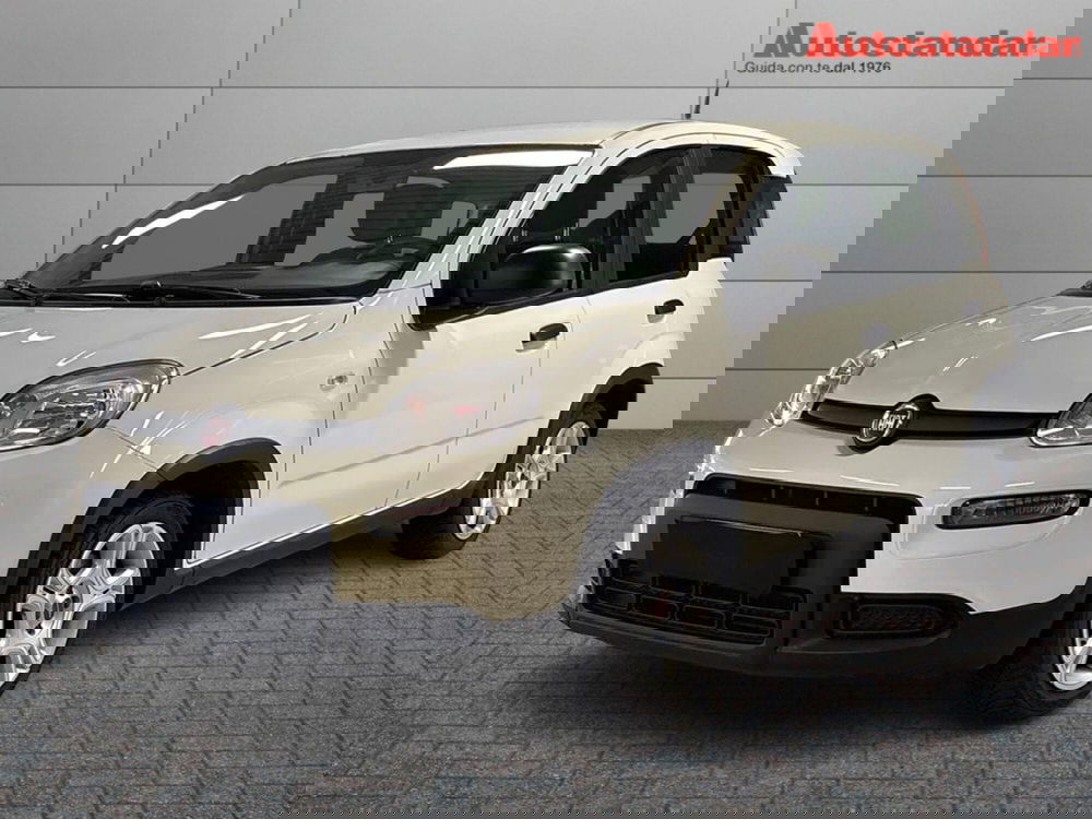 Fiat Panda usata a Torino