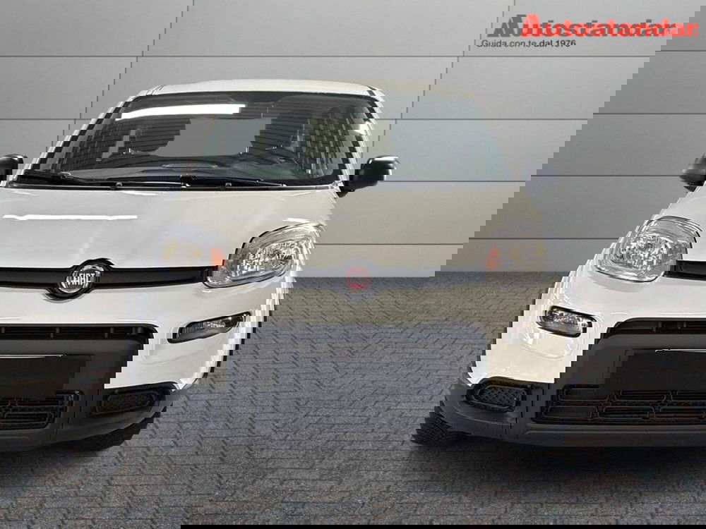 Fiat Panda usata a Torino (2)