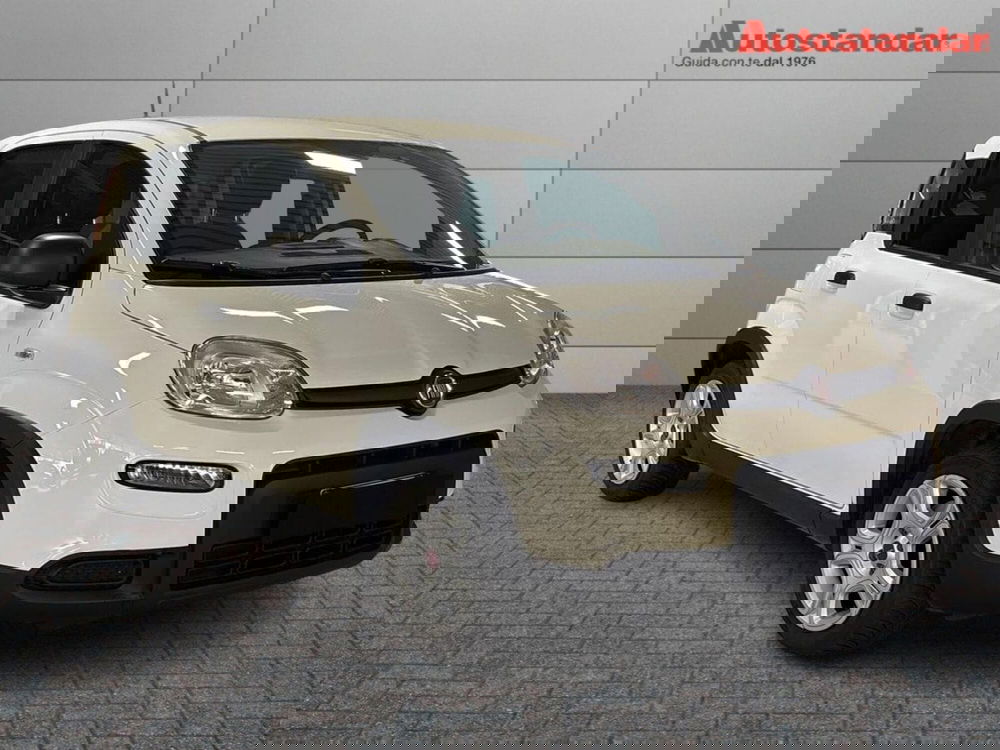 Fiat Panda usata a Torino (3)