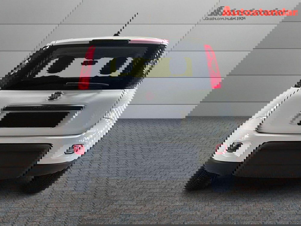 Fiat Panda usata a Torino (5)