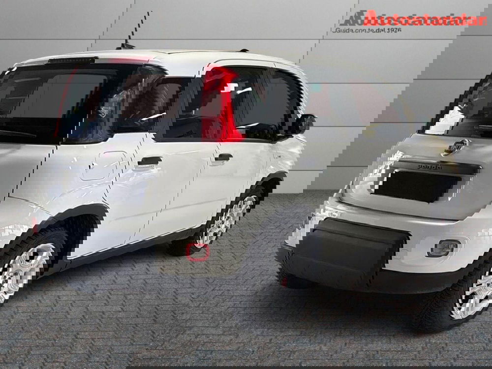 Fiat Panda usata a Torino (6)