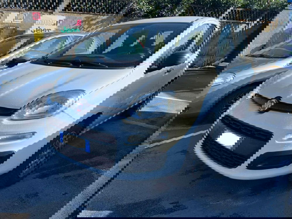 Fiat Panda usata a Lucca