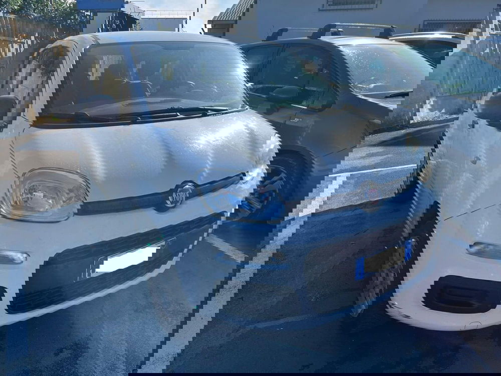 Fiat Panda usata a Lucca (3)