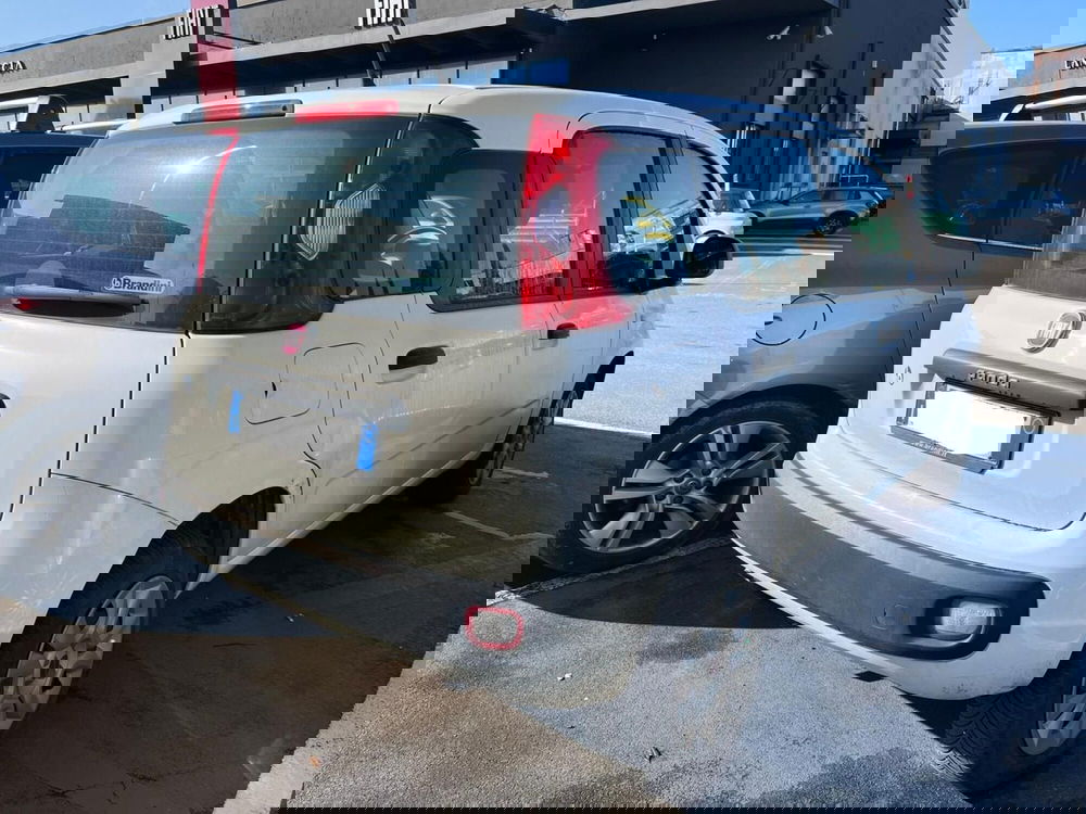 Fiat Panda usata a Lucca (4)