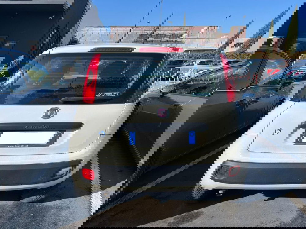 Fiat Panda usata a Lucca (5)