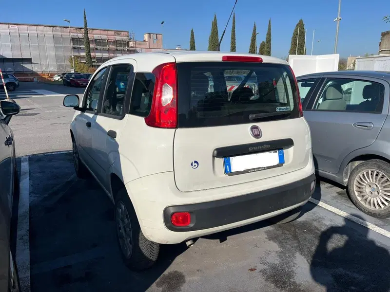 Fiat Panda usata a Lucca (6)