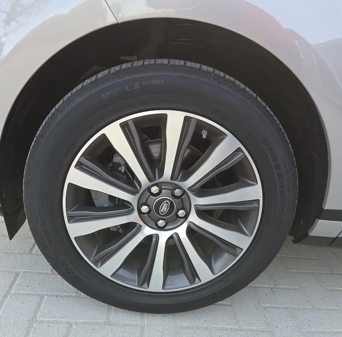 Land Rover Range Rover Evoque usata a Torino (14)