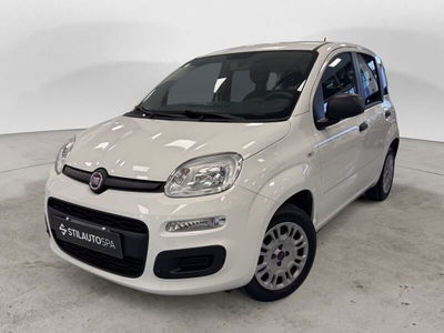 Fiat Panda 1.2 Easy del 2018 usata a Prato