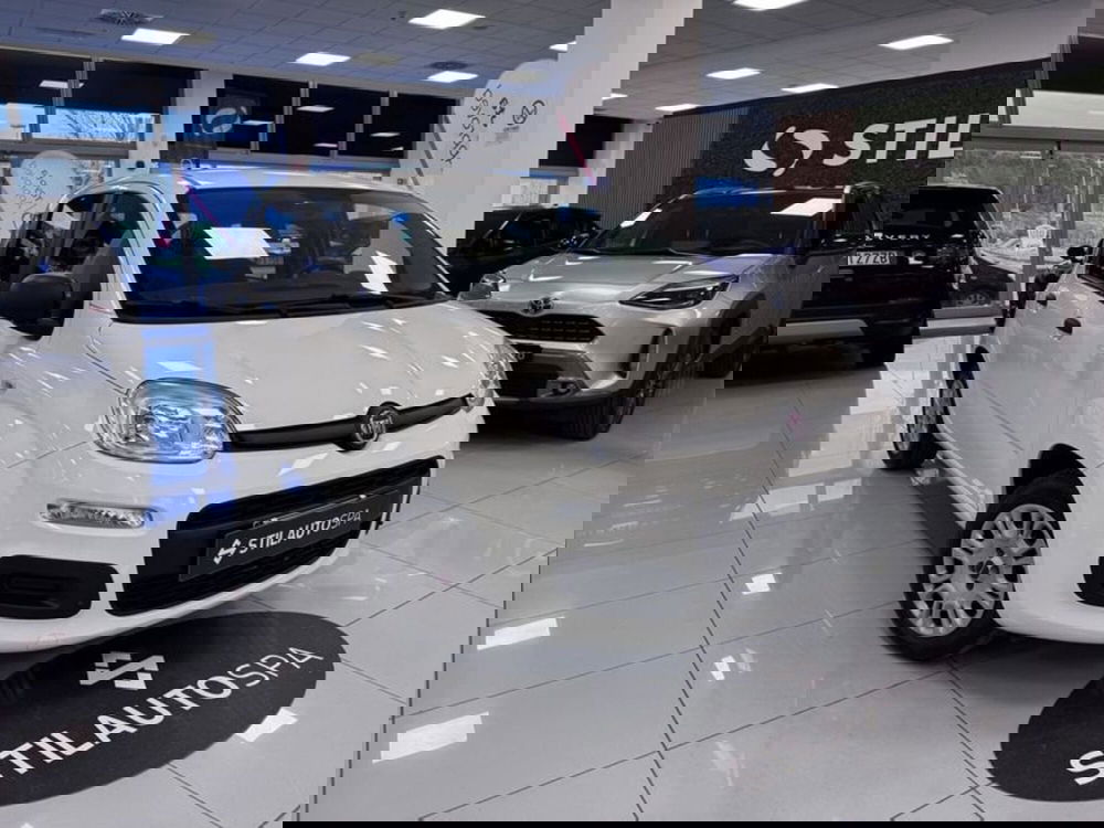 Fiat Panda usata a Prato (3)