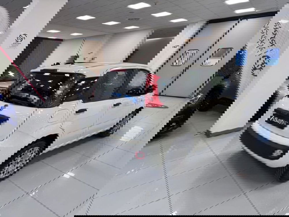 Fiat Panda usata a Prato (4)