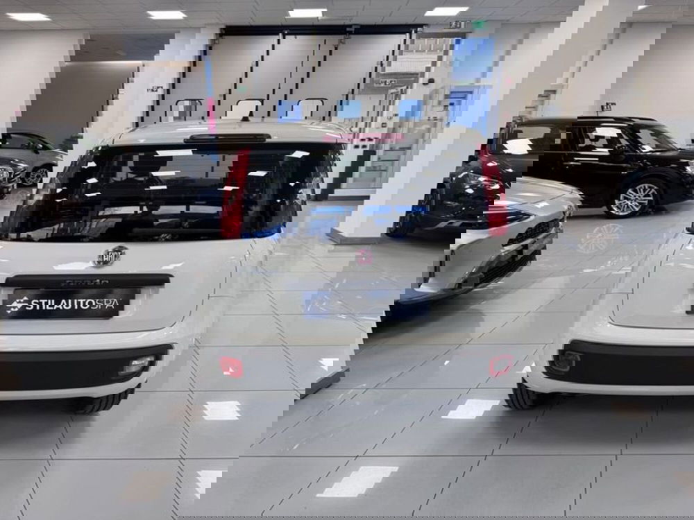 Fiat Panda usata a Prato (5)