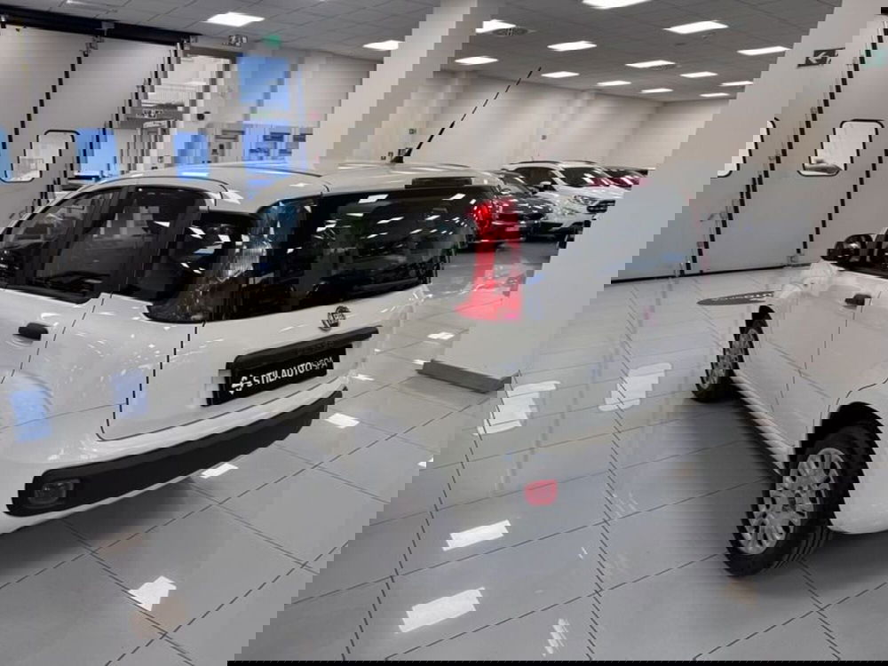 Fiat Panda usata a Prato (6)