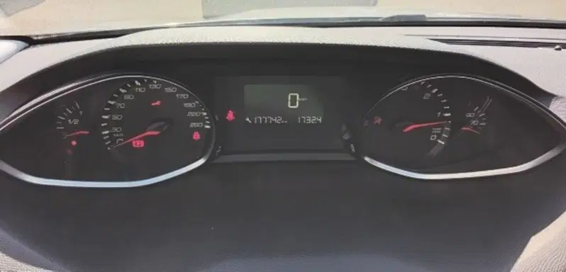 Peugeot 308 SW usata a Cosenza (13)