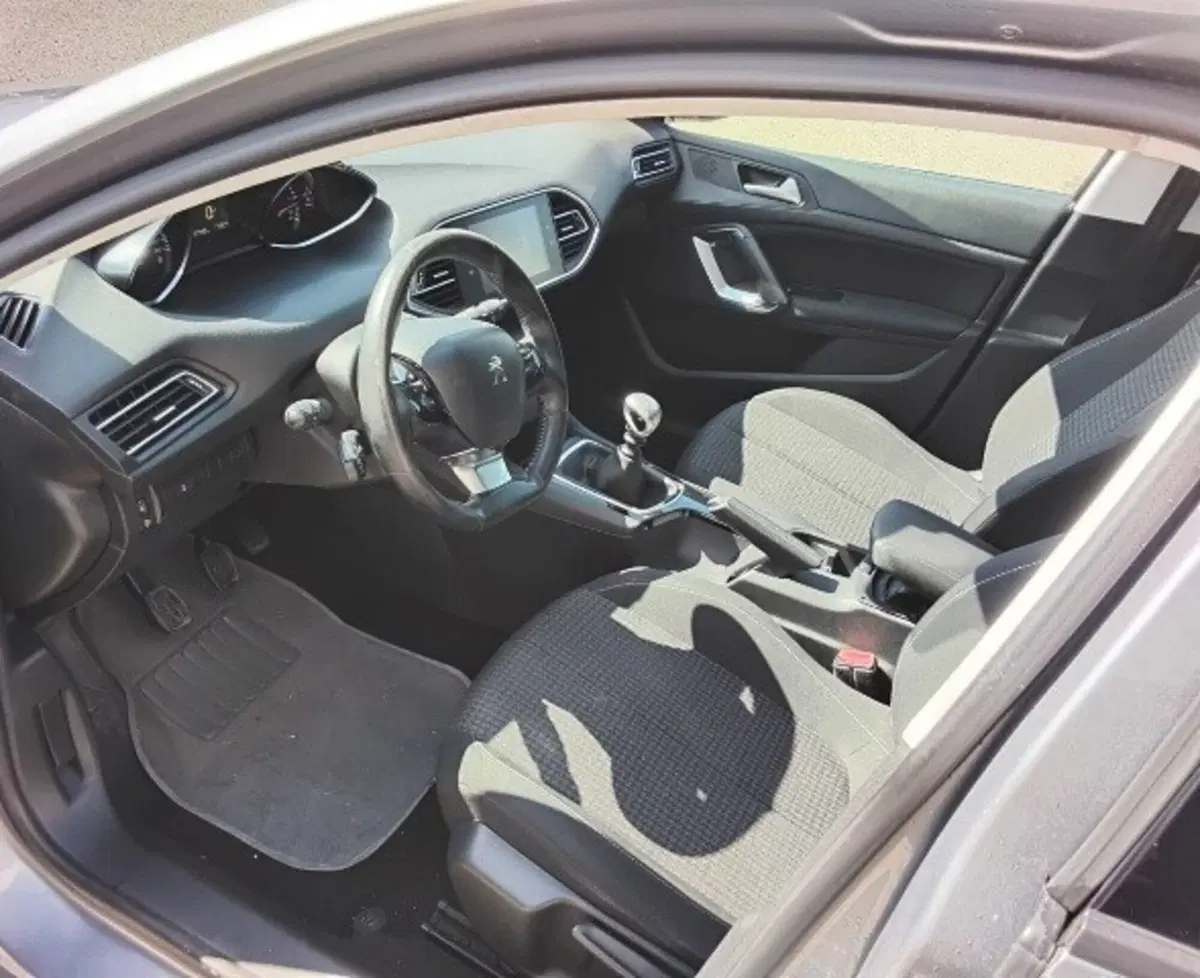 Peugeot 308 SW usata a Cosenza (9)