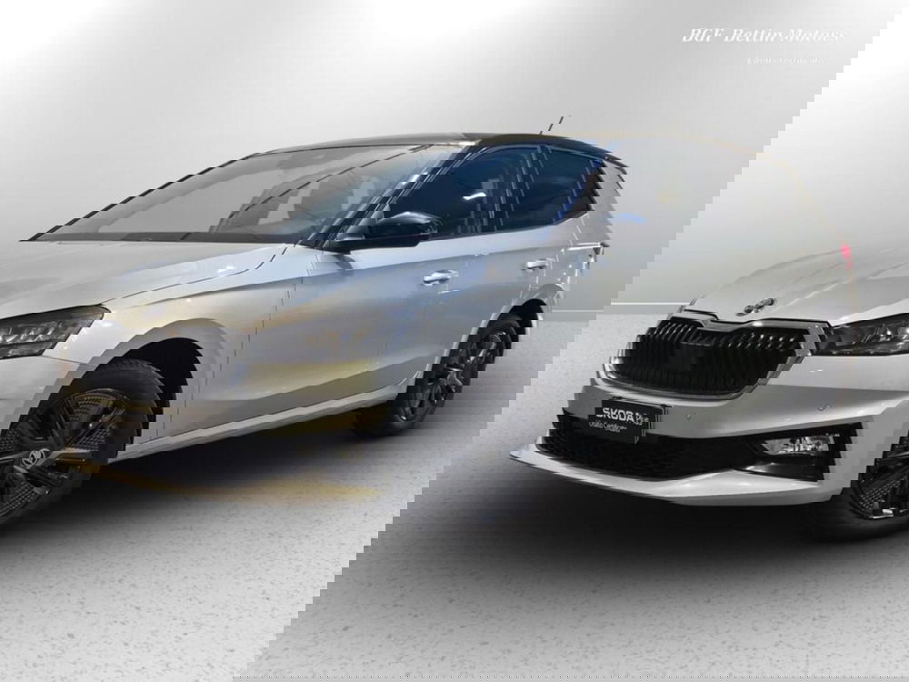 Skoda Fabia usata a Padova