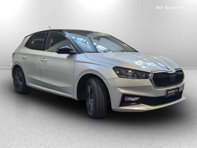 Skoda Fabia usata a Padova (4)