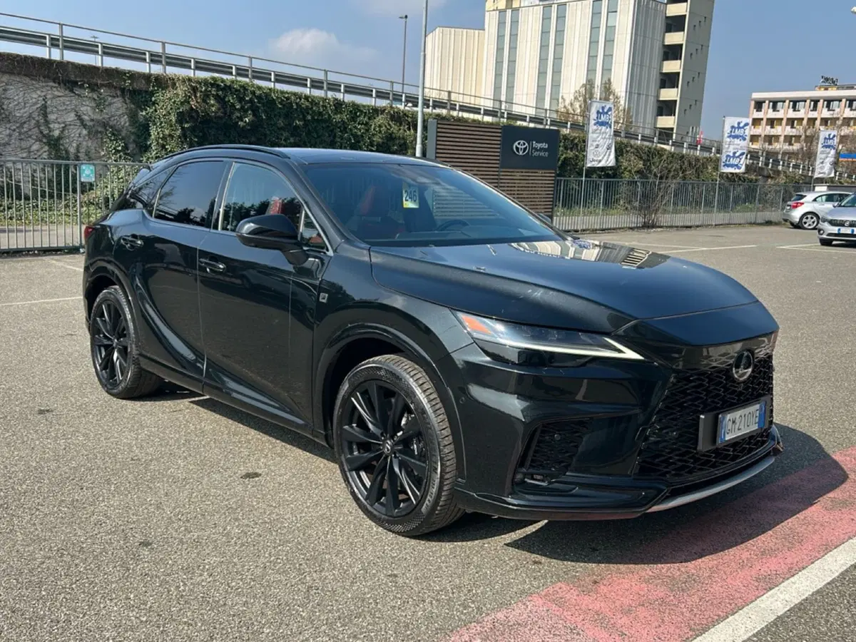 Lexus RX usata a Piacenza (12)