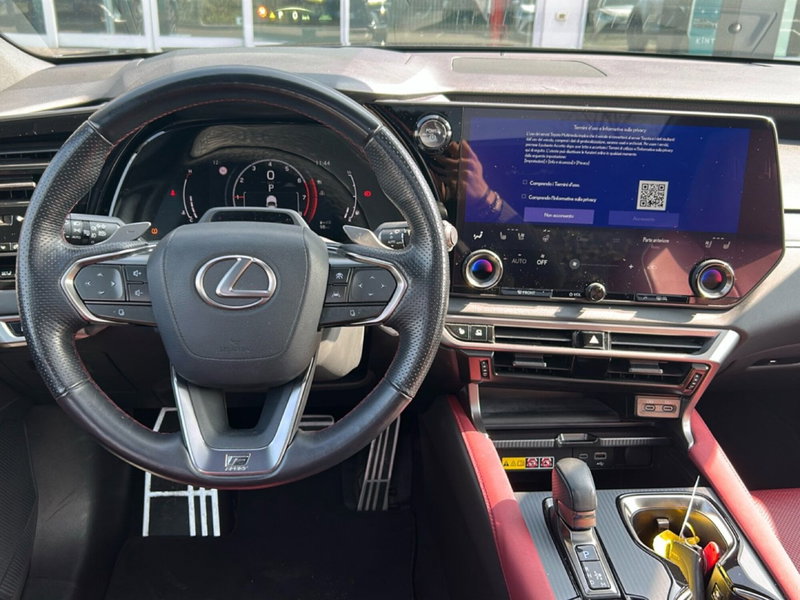 Lexus RX usata a Piacenza (13)