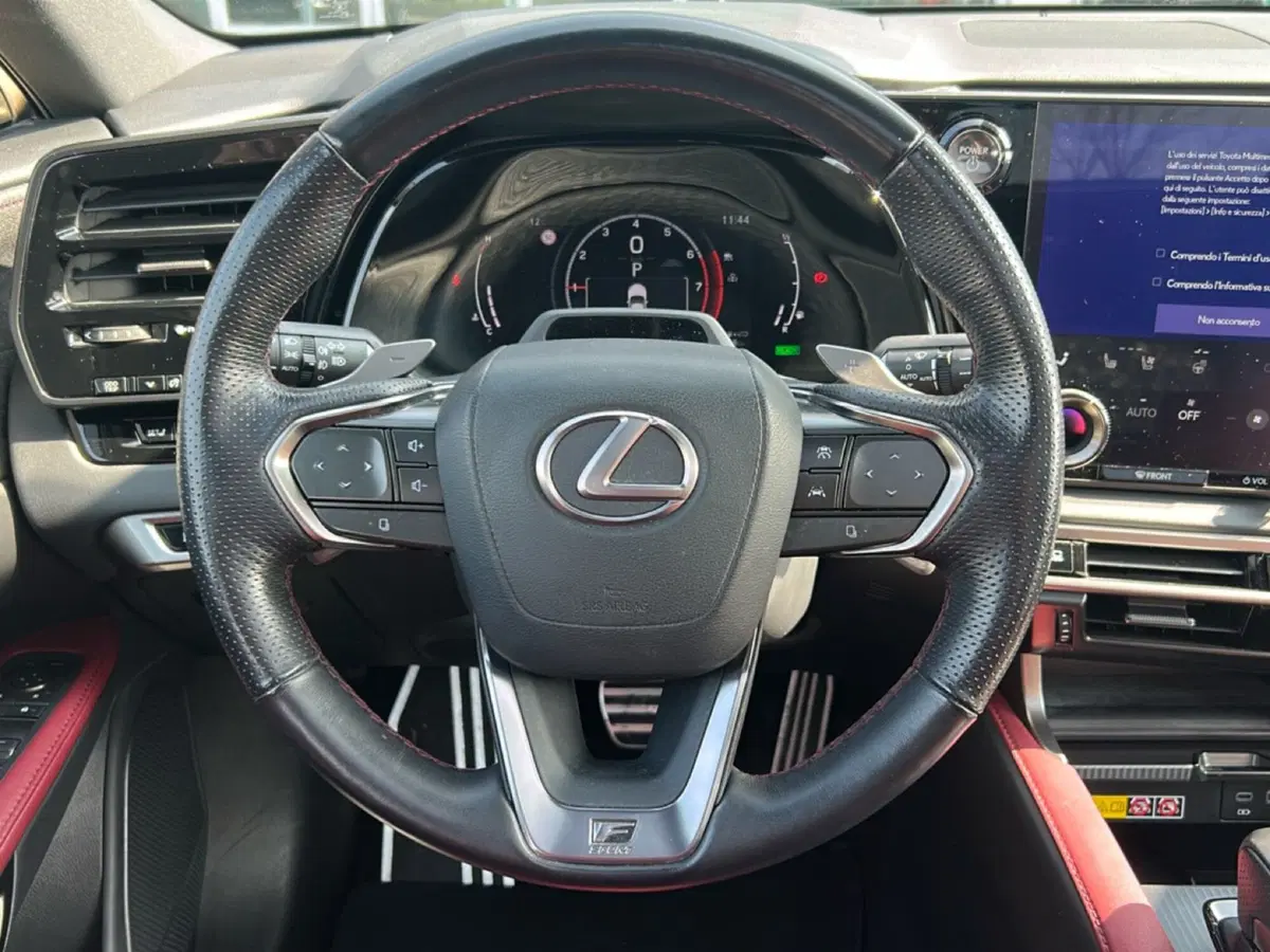 Lexus RX usata a Piacenza (14)