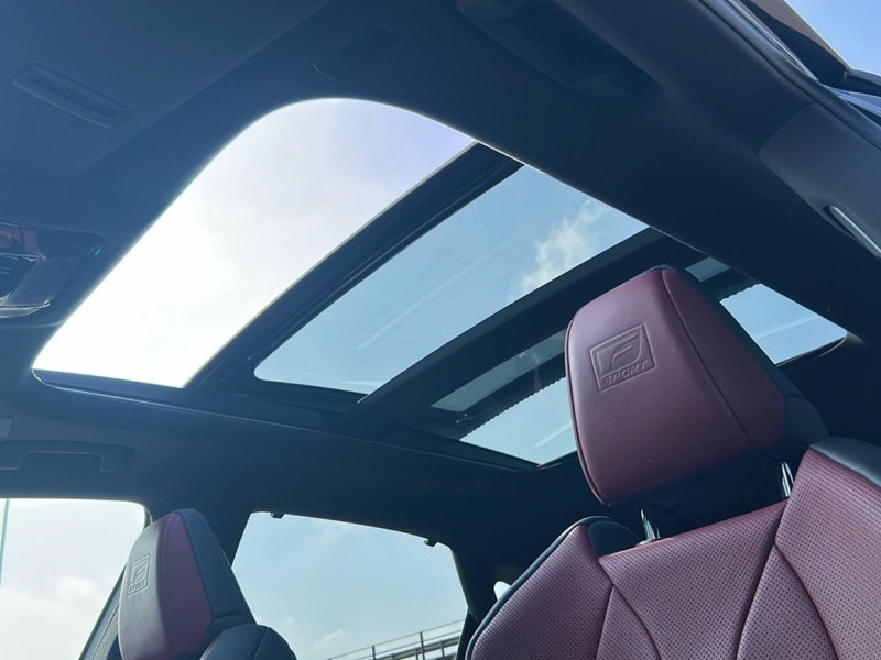 Lexus RX usata a Piacenza (17)