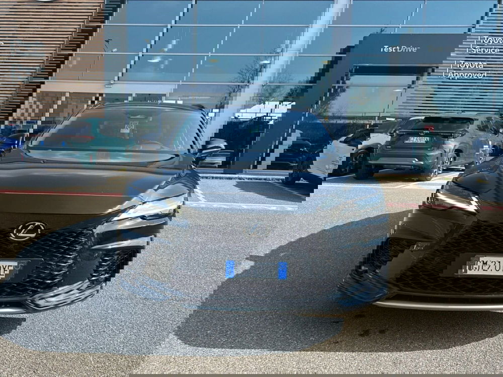 Lexus RX usata a Piacenza (2)