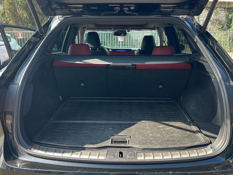 Lexus RX usata a Piacenza (9)