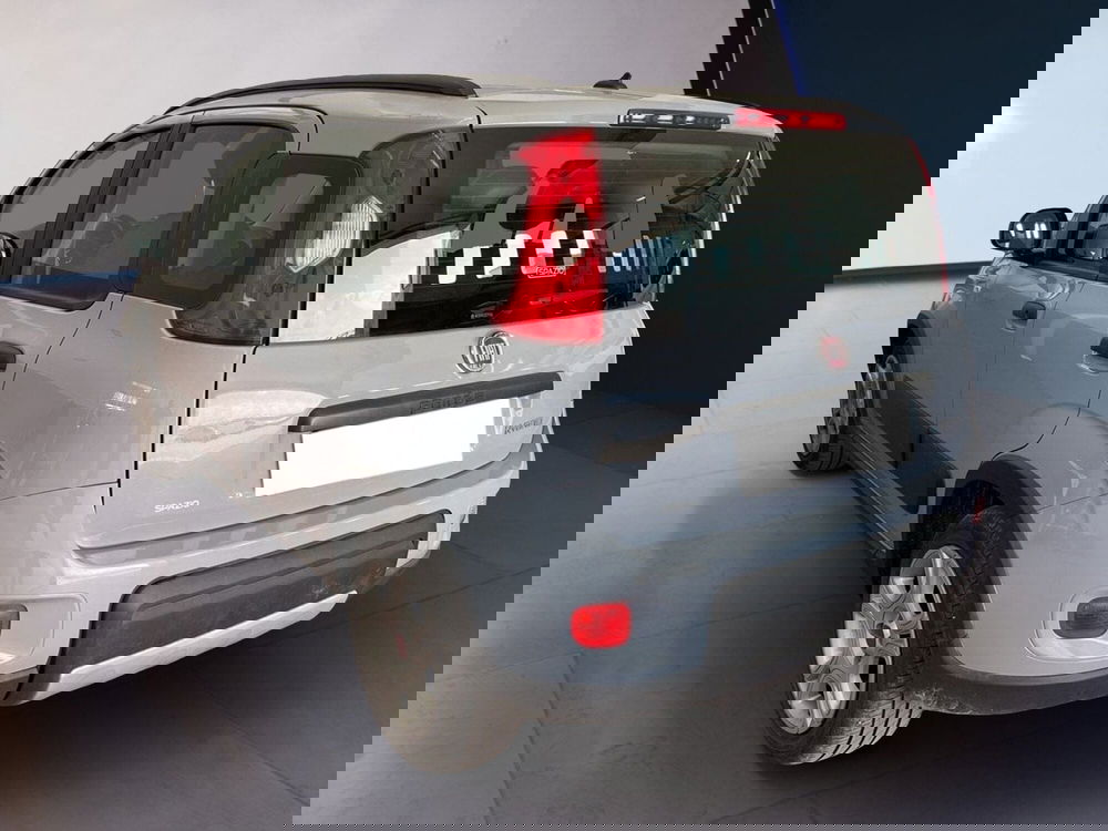 Fiat Panda usata a Torino (4)