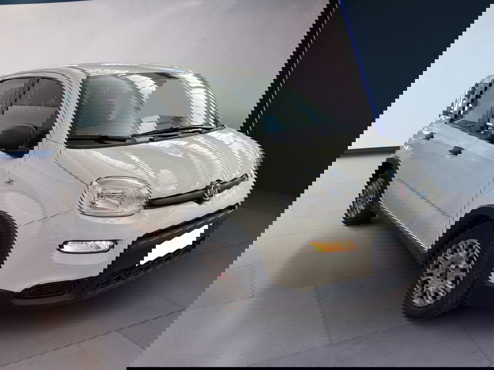 Fiat Panda usata a Torino (2)