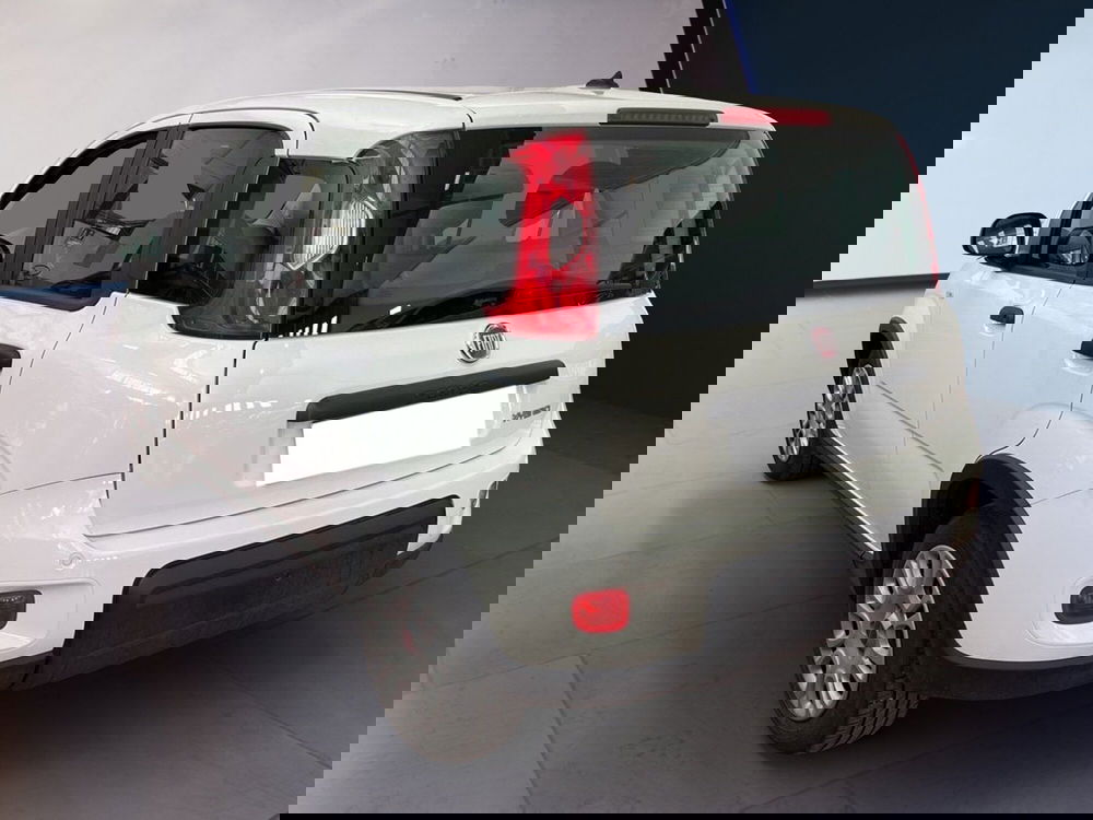 Fiat Panda usata a Torino (4)